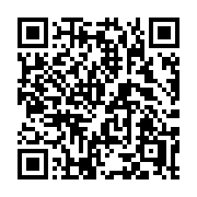 QR code linking to https://deploy-preview-3411--gohugoio.netlify.app/functions/fmt/